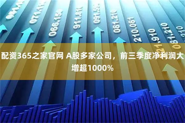 配资365之家官网 A股多家公司，前三季度净利润大增超1000%