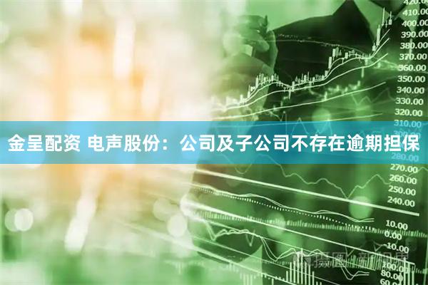 金呈配资 电声股份：公司及子公司不存在逾期担保