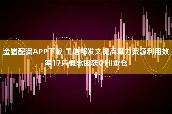 金猪配资APP下载 工信部发文提高算力资源利用效率17只概念股获QFII重仓