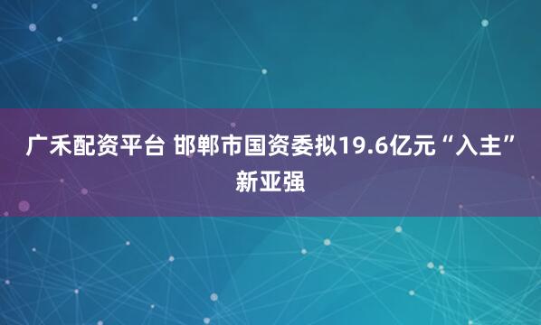 广禾配资平台 邯郸市国资委拟19.6亿元“入主”新亚强