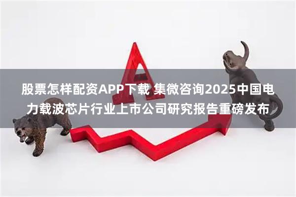 股票怎样配资APP下载 集微咨询2025中国电力载波芯片行业上市公司研究报告重磅发布
