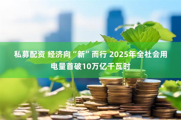 私募配资 经济向“新”而行 2025年全社会用电量首破10万亿千瓦时