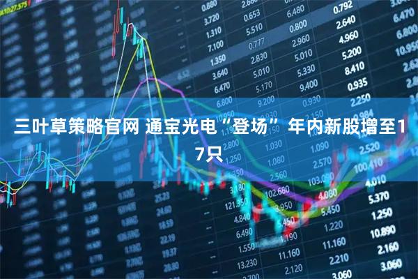 三叶草策略官网 通宝光电“登场” 年内新股增至17只